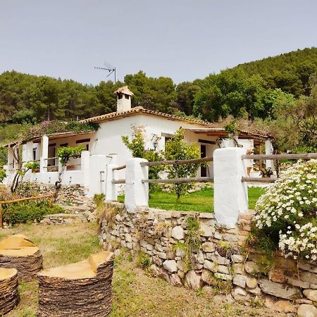 Villa Huerta Nacimiento Монтекорто Экстерьер фото