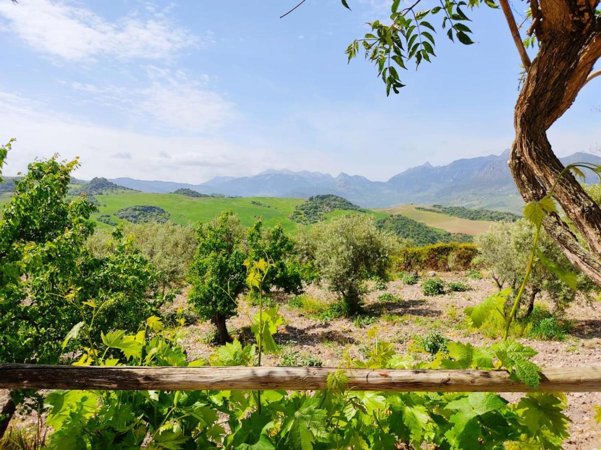 Villa Huerta Nacimiento Монтекорто Экстерьер фото
